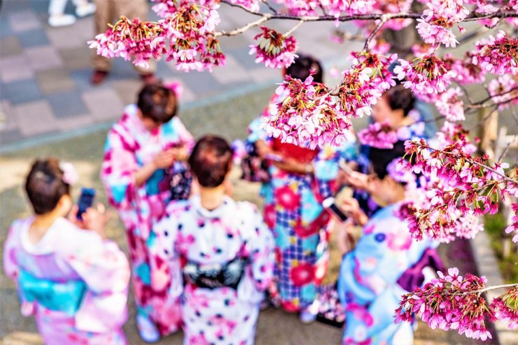 東京 お花見人気ランキング 隅田川