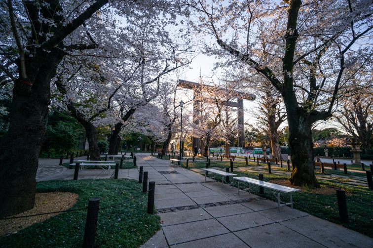 東京お花見2021 靖国神社