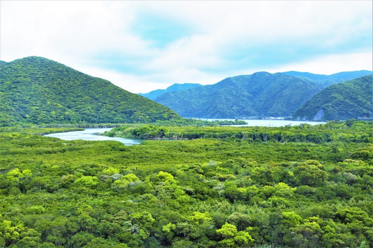 奄美大島 世界遺産