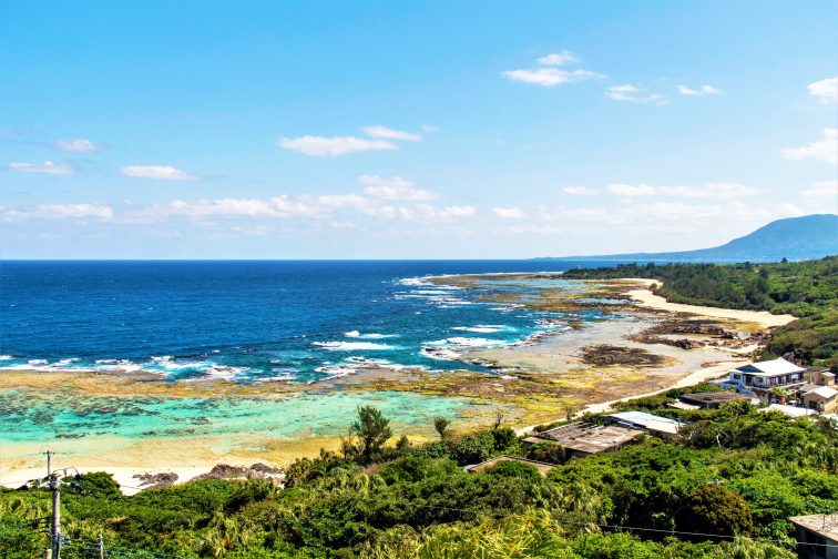 世界遺産 徳之島