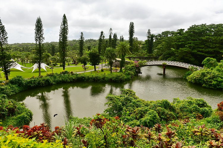 沖縄　東南植物楽園