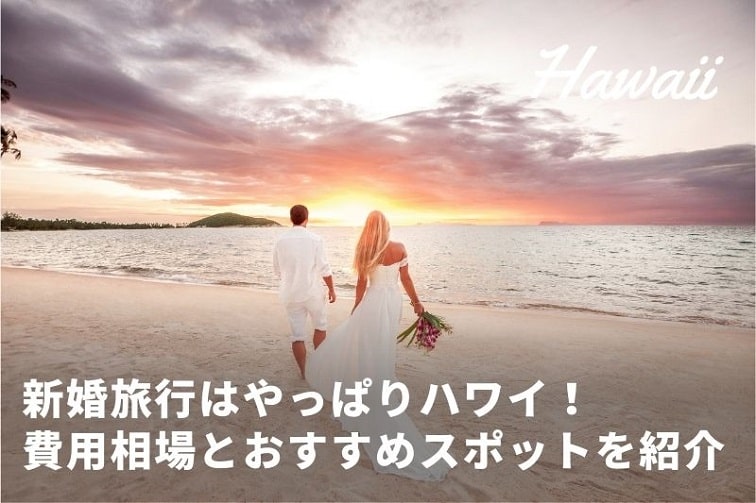ハワイ新婚旅行_看板画像-min