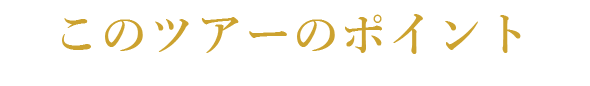 このツアーのポイント