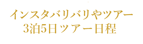 インスタバリバリやツアー 3泊5日ツアー日程