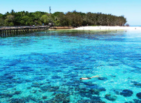 ケアンズ　人気オプショナルツアー2