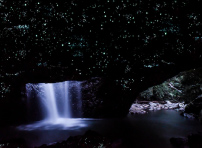 ゴールドコースト　人気オプショナルツアー1