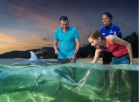 ゴールドコースト　人気オプショナルツアー2