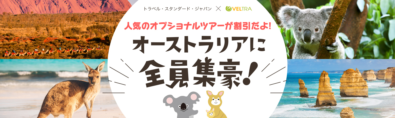トラベル・スタンダード・ジャパン　人気のオプショナルツアーが割引だよ！オーストラリアに全員集豪！