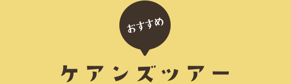 おすすめケアンズツアー