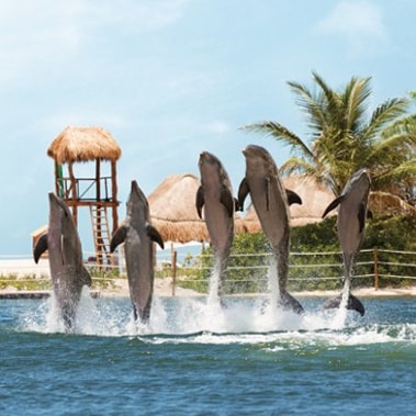 ハイアット ジーバ カンクン