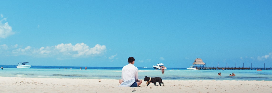 ターコイズブルーのプラヤ・ノルテビーチに座る男性のもとにフレンチ・ブルドックが駆け寄るワンシーン
