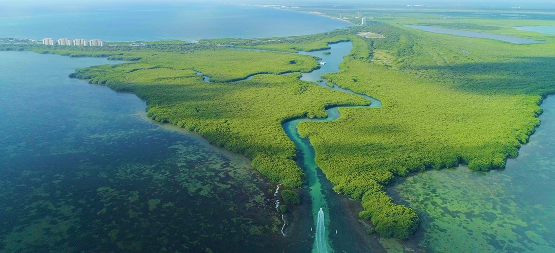 上空から見たマングローブのジャングル。真ん中に緩やかに蛇行した川があり、モーターボートが走っている。