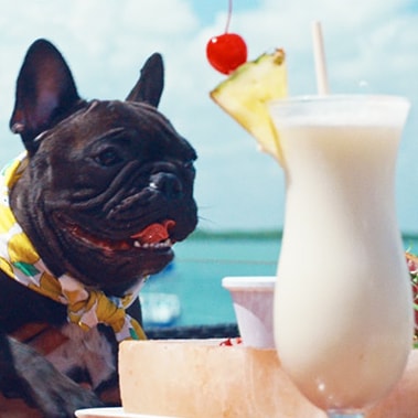 クラブ・ハウス