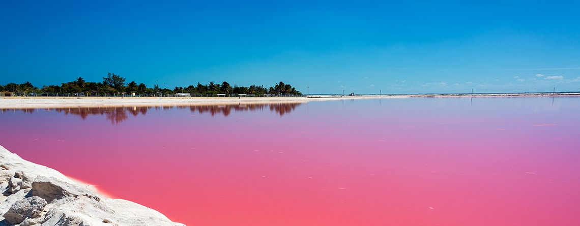 真っ青な空とピンクの湖面、白い大地のコントラスが美しいラスコロラダス（ピンクレイク）の風景