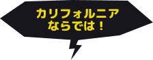 カリフォルニアならでは！