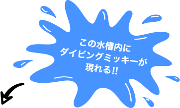 この水槽内にダイビングミッキーが現れる！！