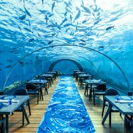 フラワリ アイランド リゾート（モルディブ）