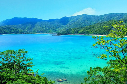 ライベストイン奄美