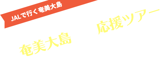 奄美大島旅行応援ツアー 魅力的なツアーをご紹介！