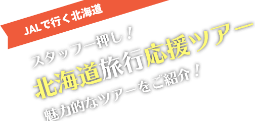 北海道旅行応援ツアー 魅力的なツアーをご紹介！