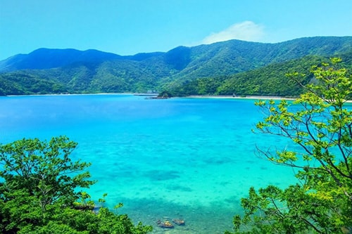 ライベストイン奄美