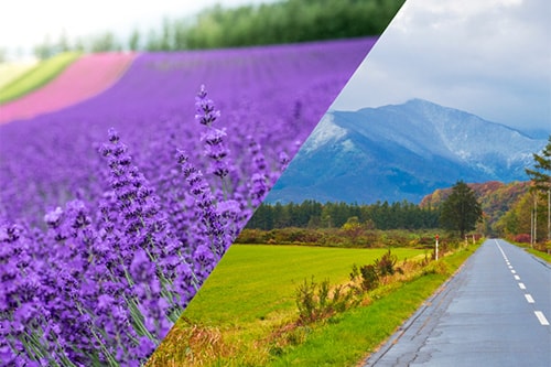 新富良野プリンス