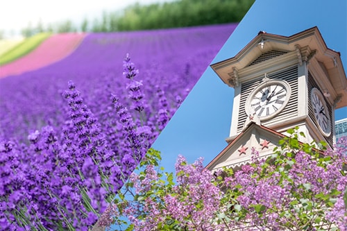 新富良野プリンス