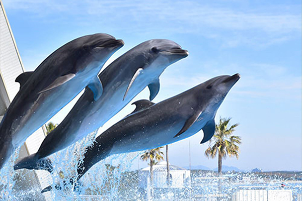 水族館隣接！体験プログラムが充実