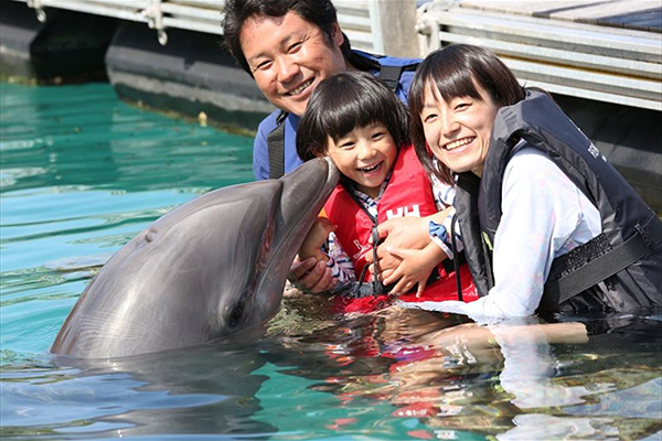 イルカと遊べるお勧めのリゾート