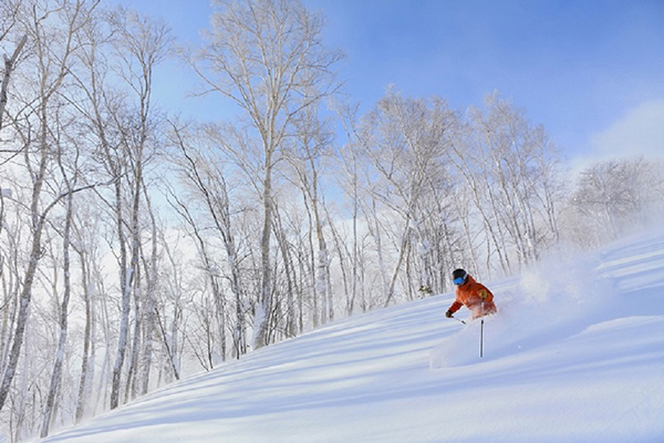 種類豊富なアクティビティを楽しめる！(ゲレンデイメージ)
