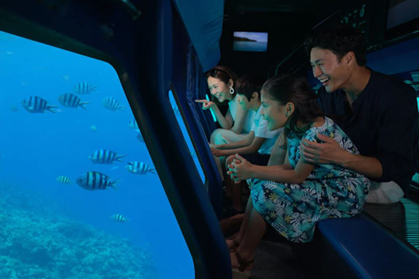 半潜水艇で海中探検へ！