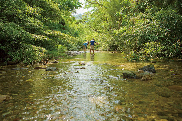 川遊びと生き物観察ツアー