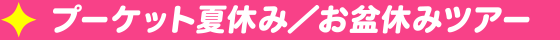 プーケット　8月9日～15日出発の5日間／8日間ツアー！