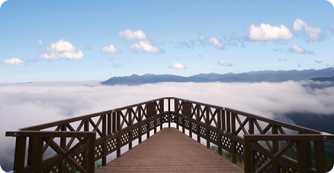 Sky Wedge(スカイウェッジ)