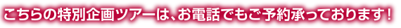 こちらの特別企画ツアーは、お電話でもご予約承っております！