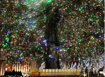 Photoギャラリー