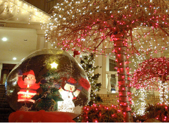 Photoギャラリー