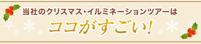 当社のクリスマス・イルミネーションツアーはココがすごい！