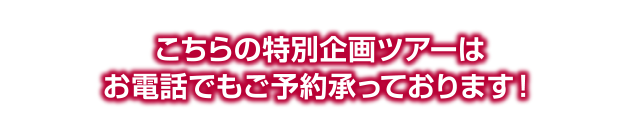 こちらの特別企画ツアーはお電話でもご予約承っております！