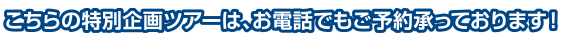 こちらの特別企画ツアーは、お電話でもご予約承っております！