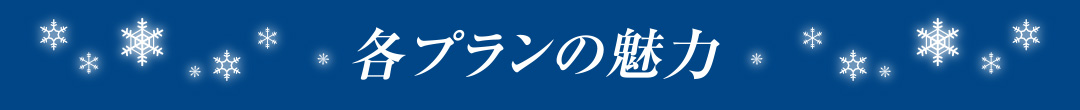各プランの魅力