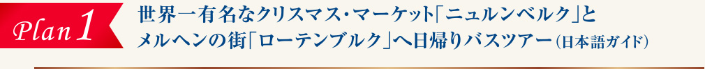 plan1 世界一有名なクリスマス・マーケット「ニュルンベルク」と
メルヘンの街「ローテンブルク」へ日帰りバスツアー（日本語ガイド）