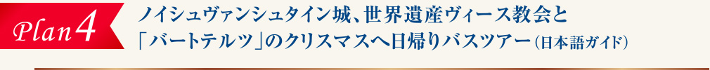 plan4 ノイシュヴァンシュタイン城、世界遺産ヴィース教会と
「バートテルツ」のクリスマスへ日帰りバスツアー（日本語ガイド）