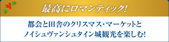 最高にロマンティック！
都会と田舎のクリスマス・マーケットとノイシュヴァンシュタイン城世界遺産ヴィース教会観光を楽しむ！