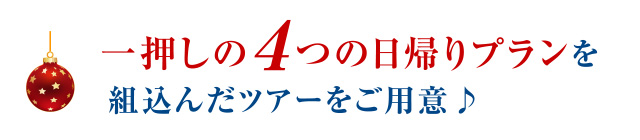 一押しの4つの日帰りプランを組込んだツアーをご用意♪
