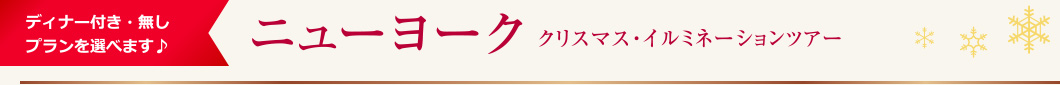 ディナー付き・無しプランを選べます♪ ニューヨーク クリスマス・イルミネーションツアー