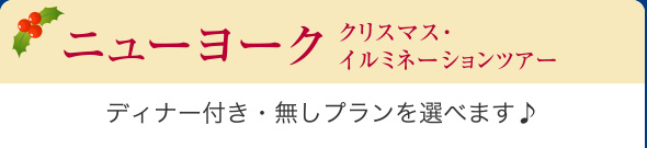 ディナー付き・無しプランを選べます♪ ニューヨーク クリスマス・イルミネーションツアー