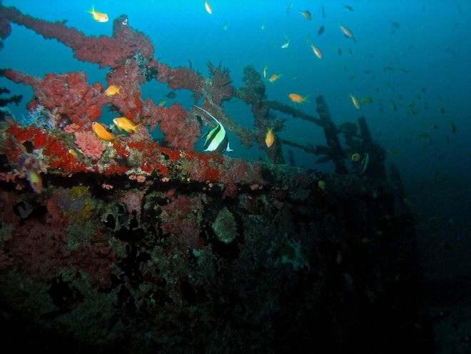 ハラヴェリ・レック（アリ環礁）