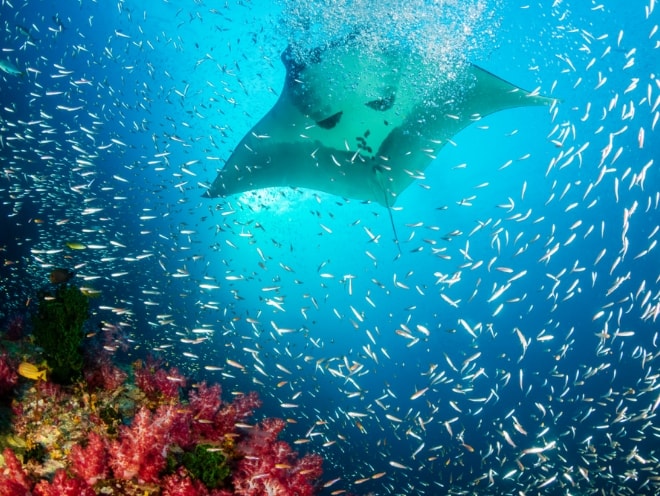 ネリヴァル・ティラ（バア環礁）