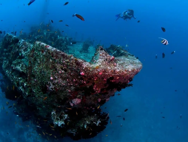 ヴィクトリー（北マーレ）